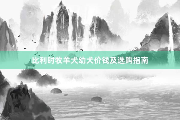 比利时牧羊犬幼犬价钱及选购指南